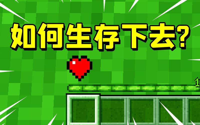 我的世界生命