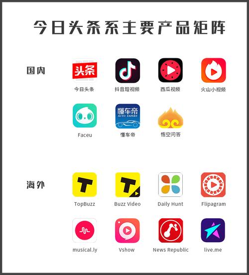 头条抖音领域是什么