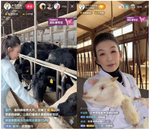 抖音都有什么动物直播