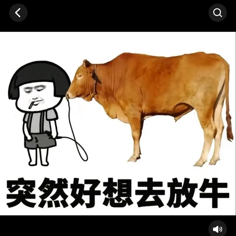 牛什么牛女抖音