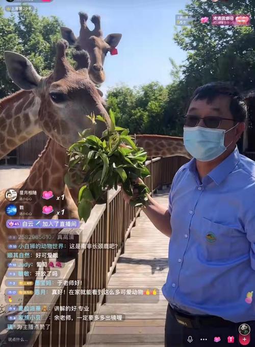 抖音都有什么动物直播