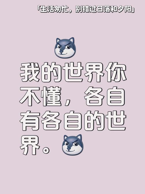 我的世界你不懂图片