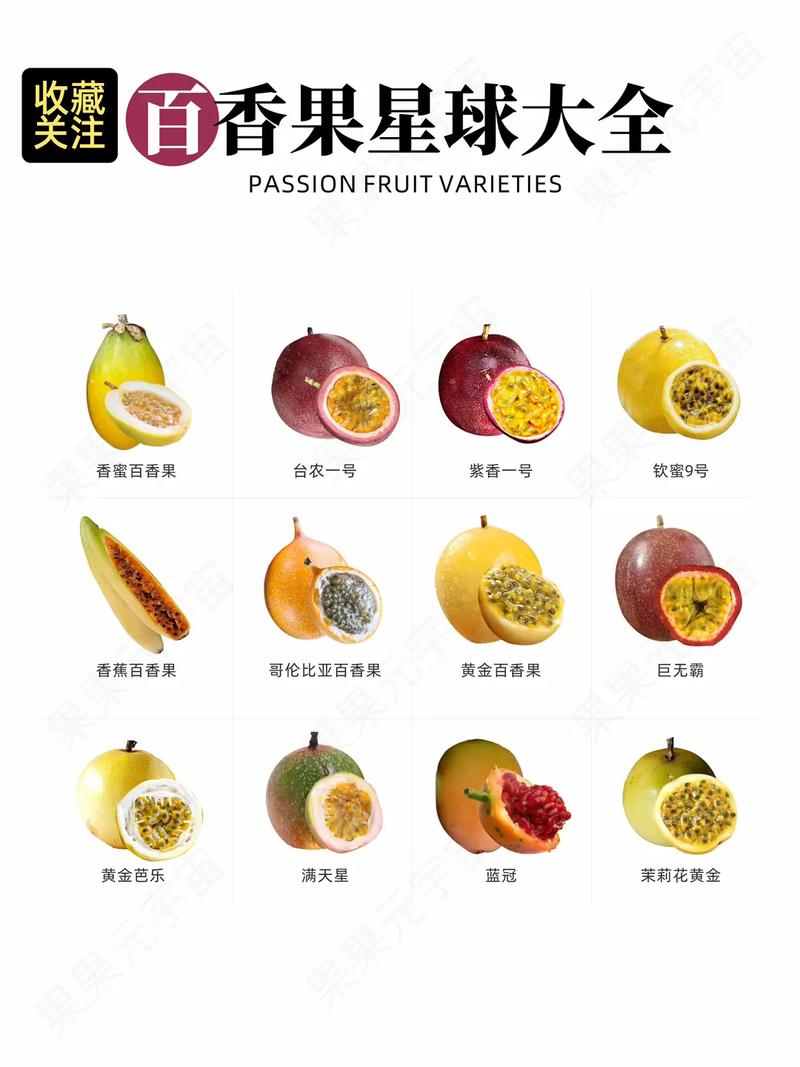 什么品类适合抖音食品