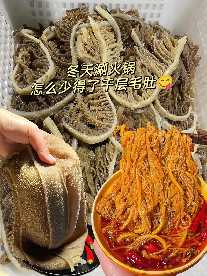 抖音看看毛肚是什么