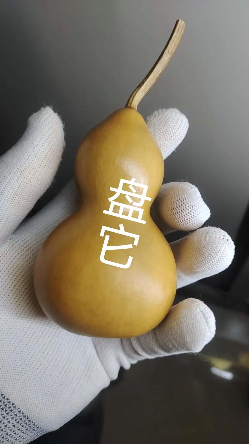 抖音葫芦盘是什么
