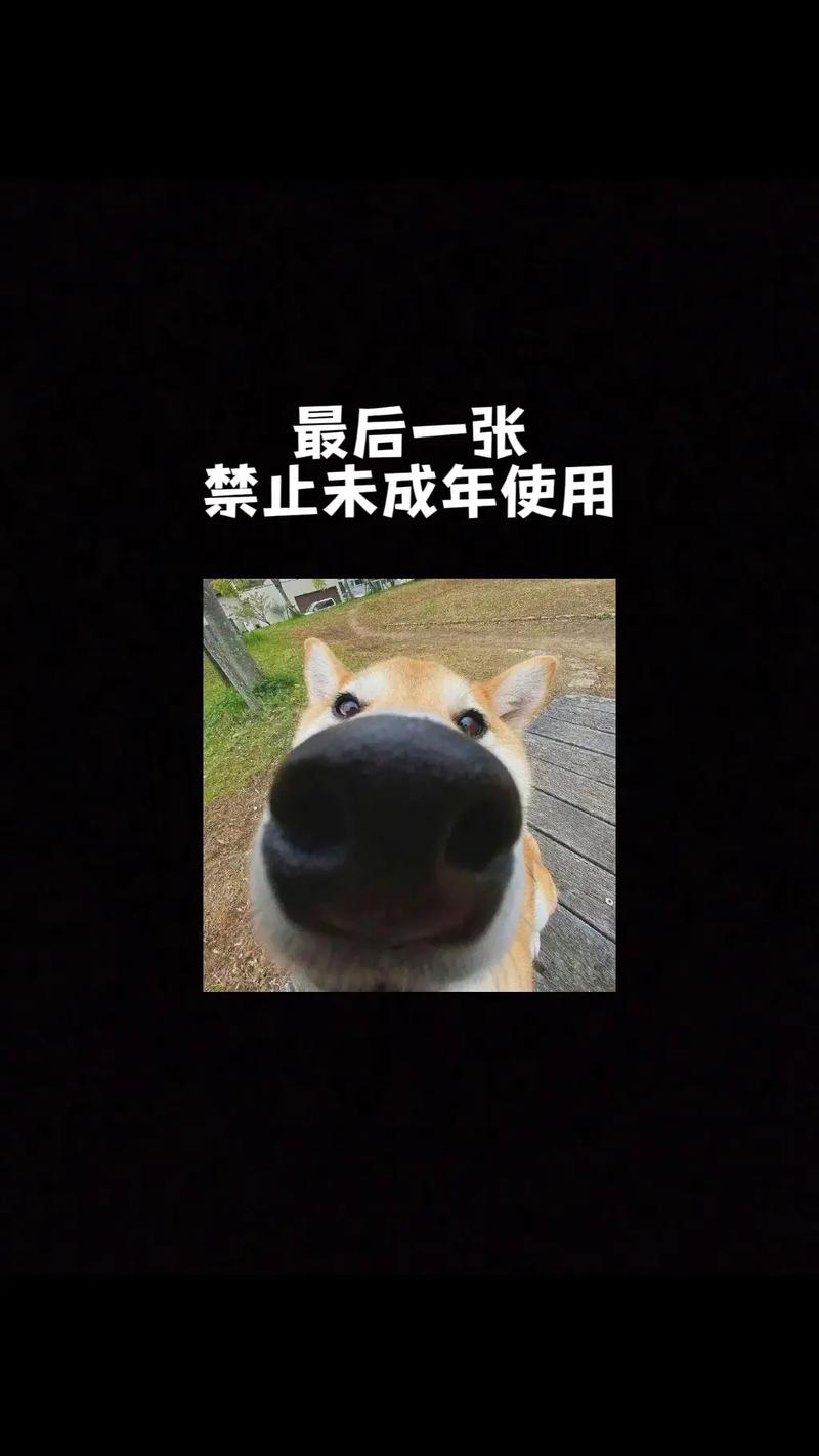 凭什么男生抖音版
