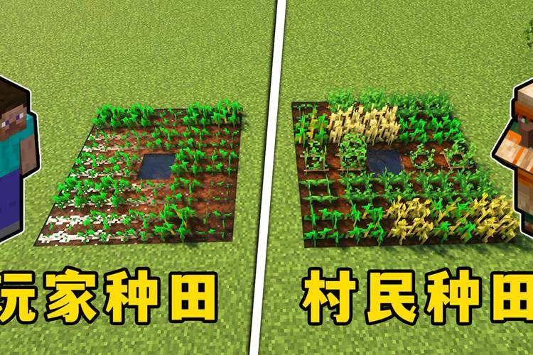 我的世界种田技巧