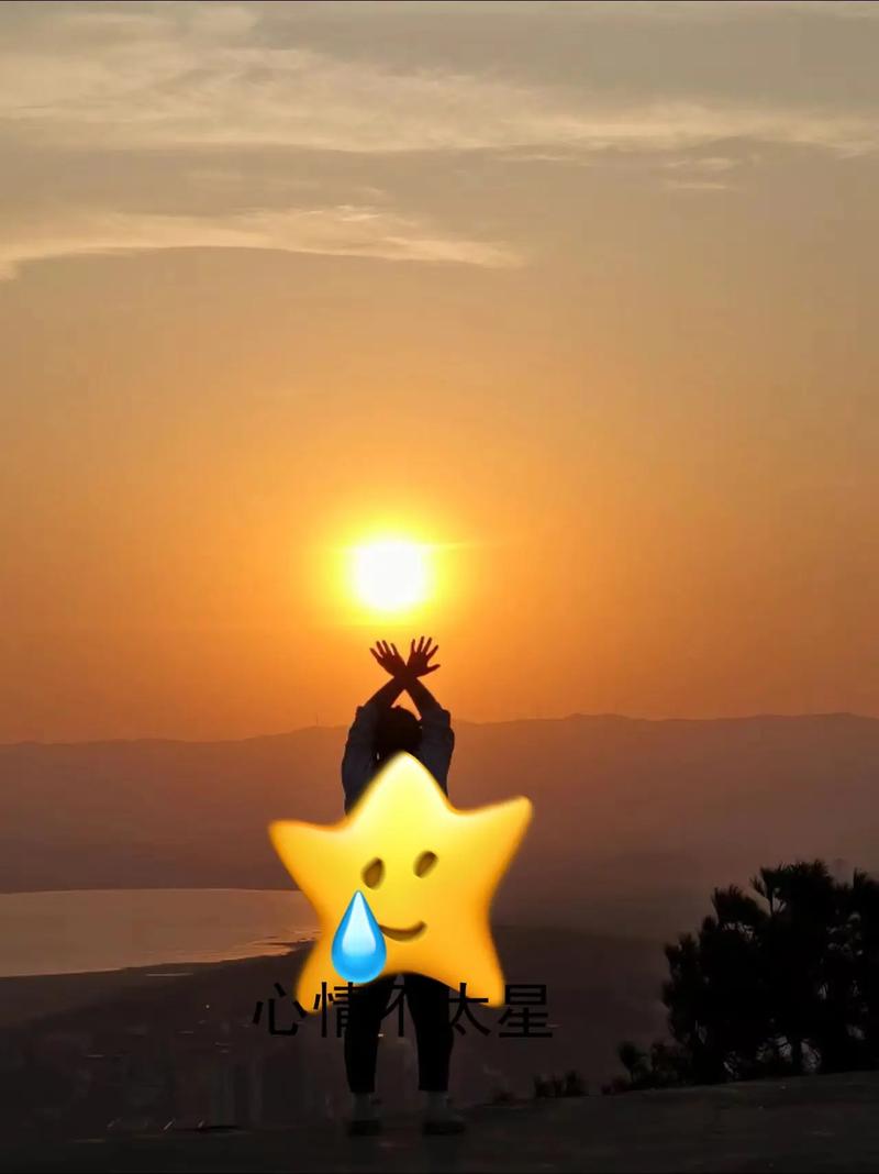 抖音摘星什么水平啊