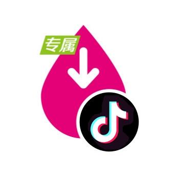 流量专属抖音是什么