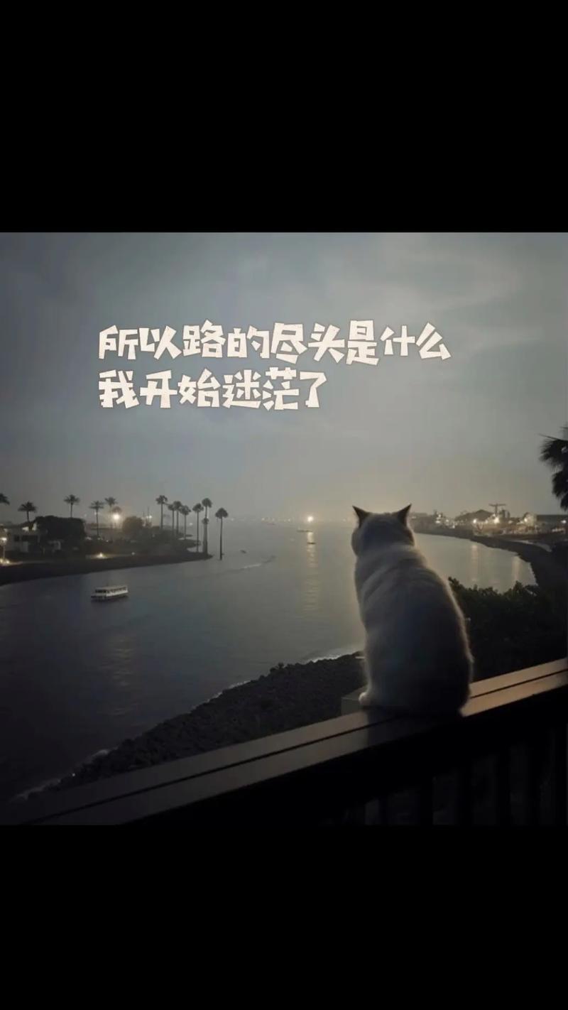 抖音迷茫玩家是什么