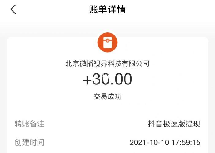 抖音什么是极速支付