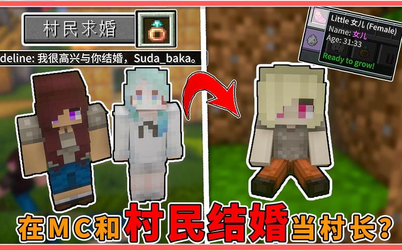 我的世界与村民结婚