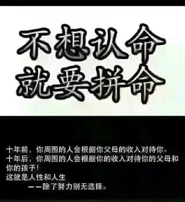 你为什么拼命抖音