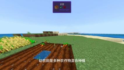 我的世界种田技巧