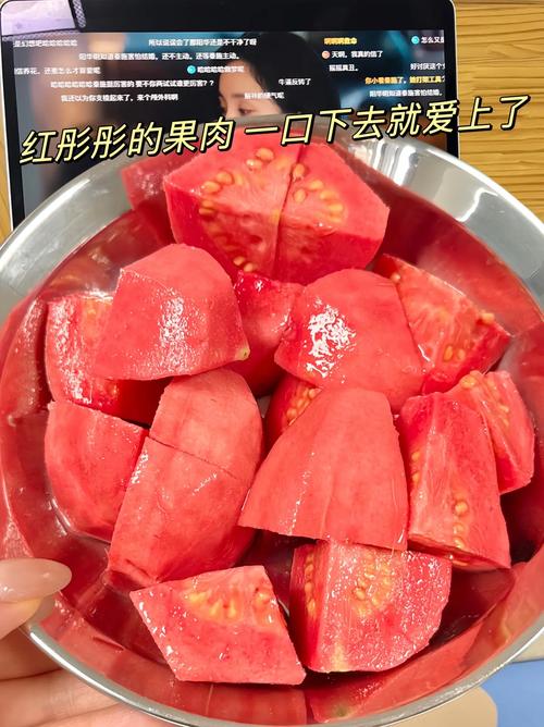 抖音什么类型好入手