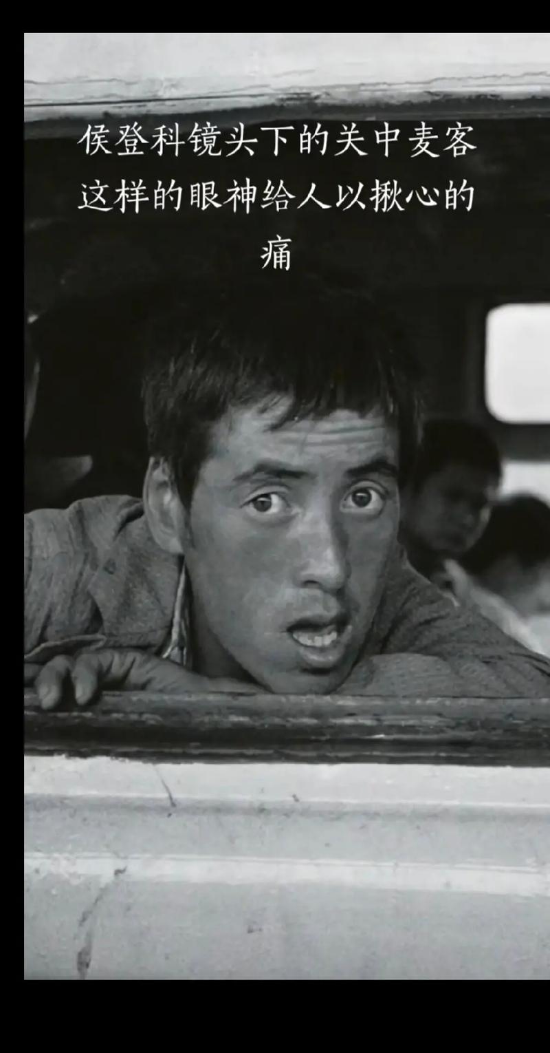 抖音麦客是什么