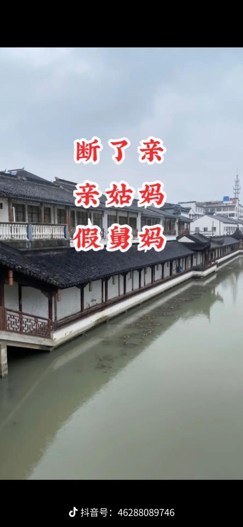 抖音姨娘是什么梗