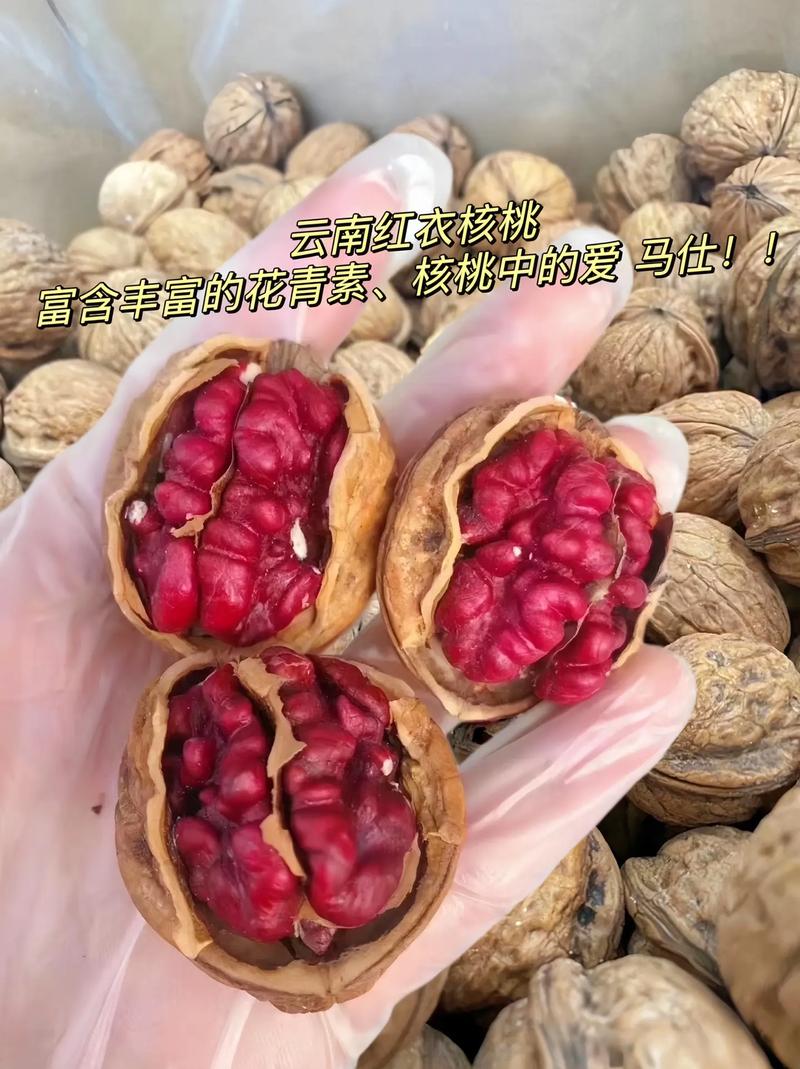 抖音红色核桃是什么