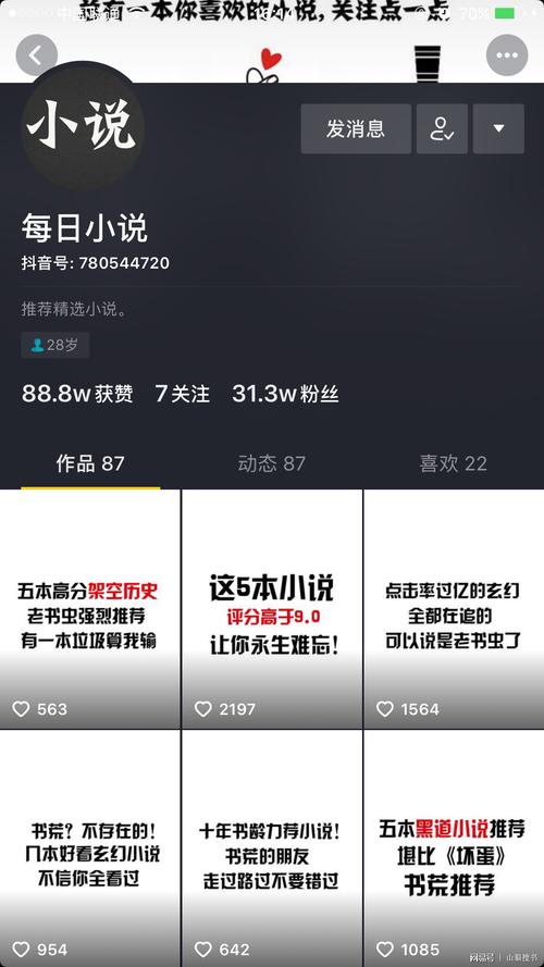 什么小说可以登录抖音