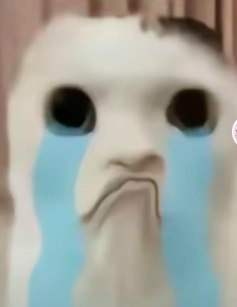 抖音最强惊魂是什么