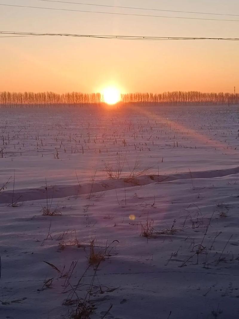 抖音什么冬天的太阳