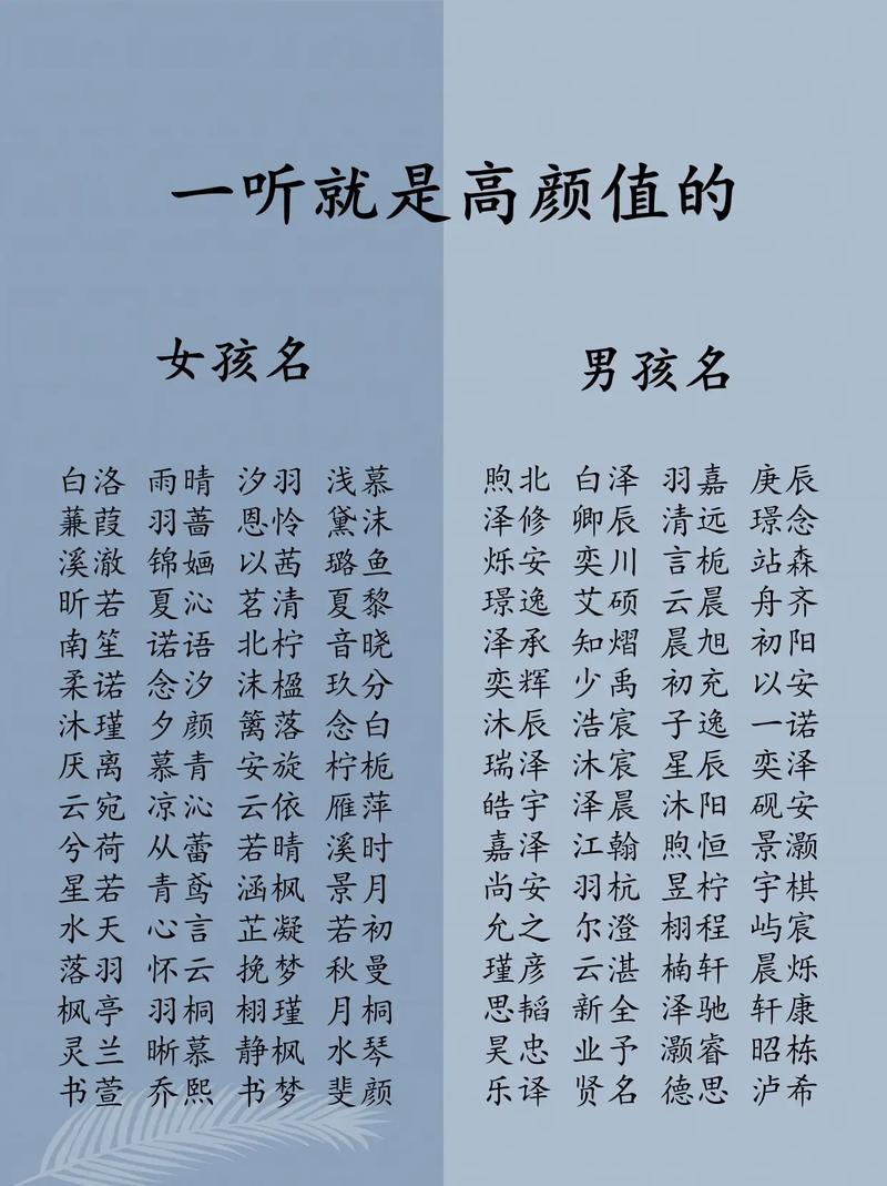 抖音创作叫什么名