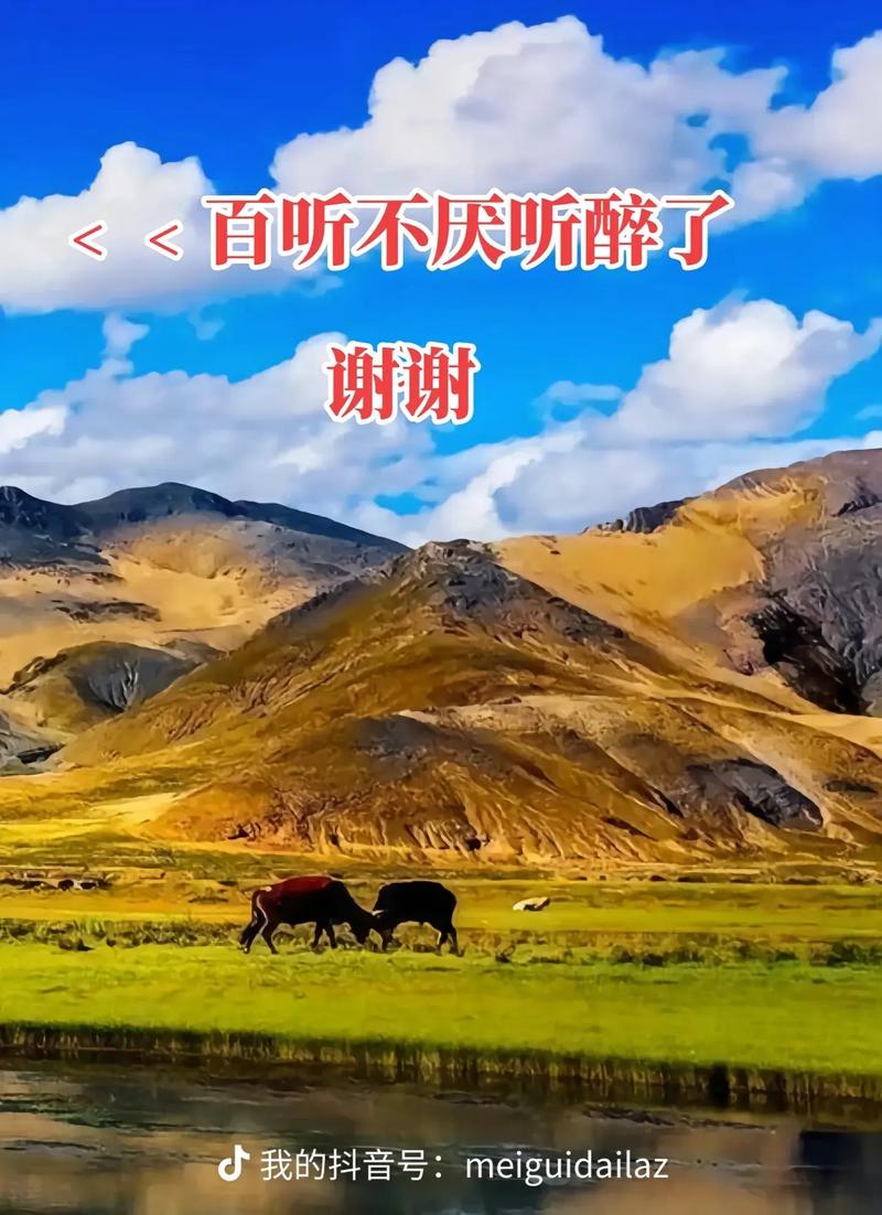 阿妈抖音女声叫什么