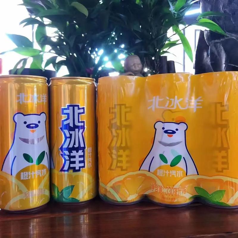 昵称抖音北冰洋是什么