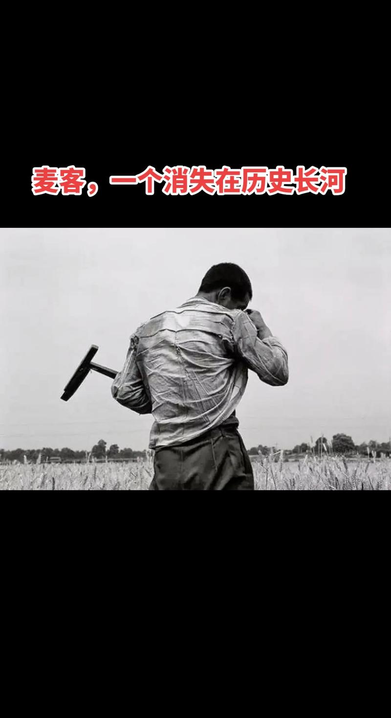 抖音麦客是什么