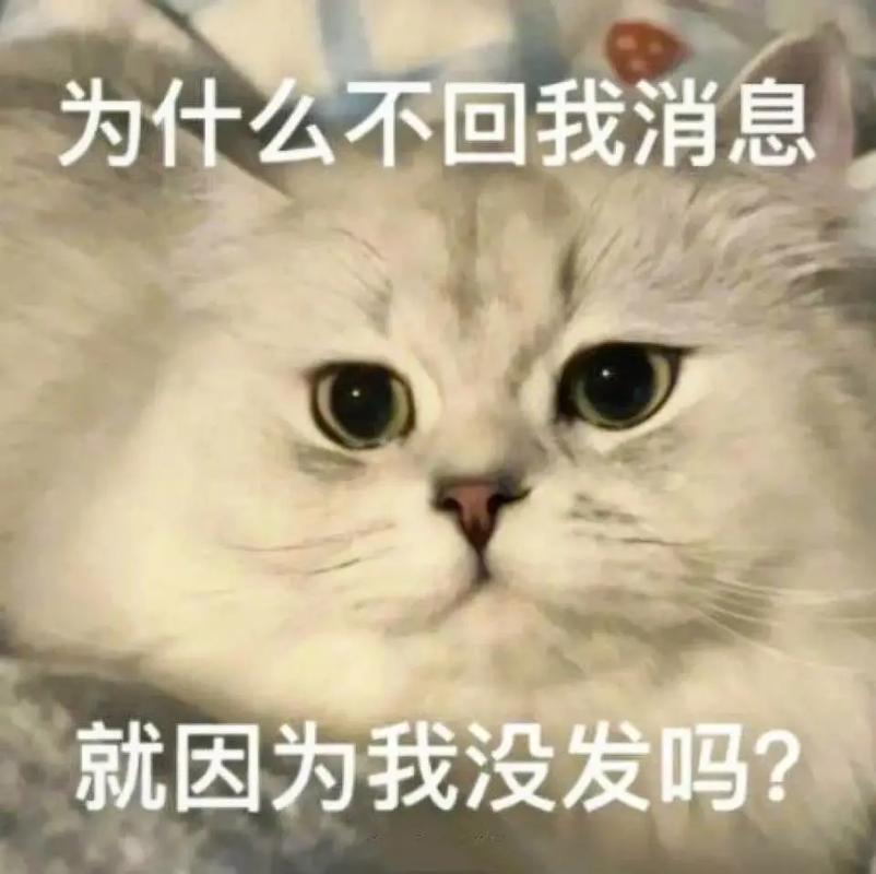 抖音反顾为什么不回