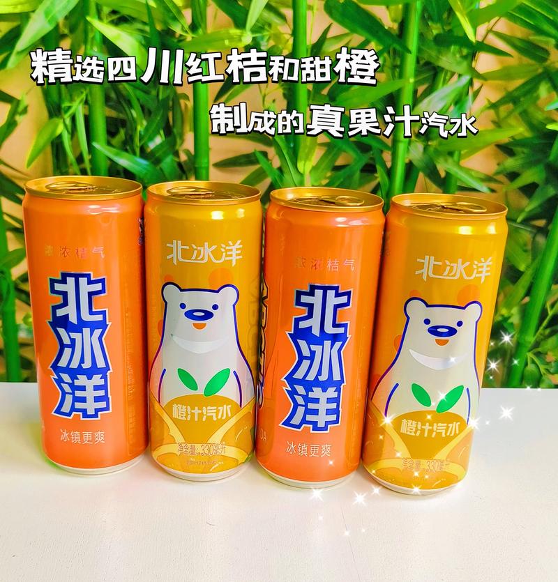 昵称抖音北冰洋是什么