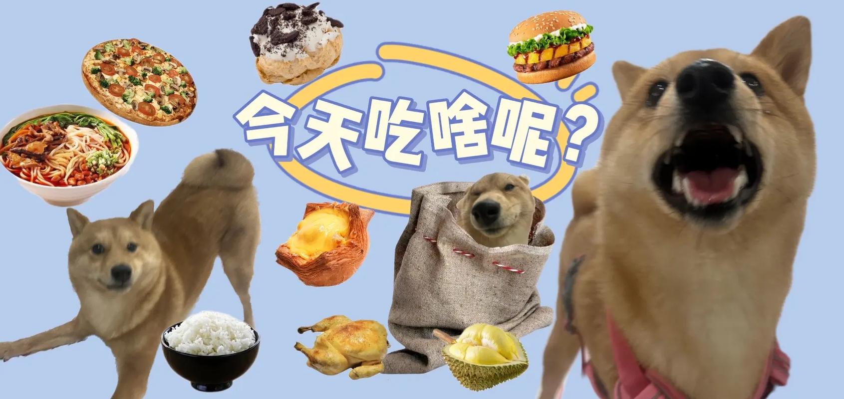 今天吃什么抖音号