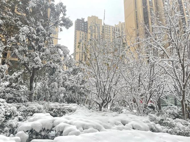 下雪应该拍什么抖音