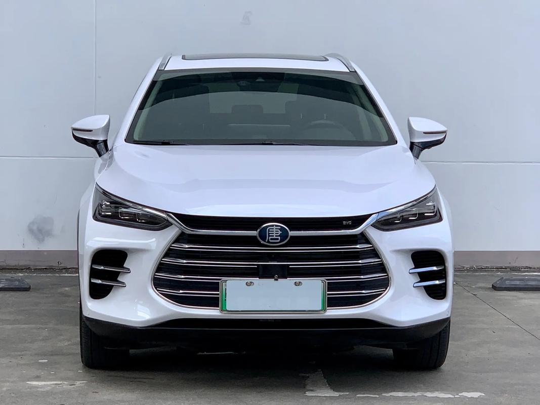 抖音 byd是什么车