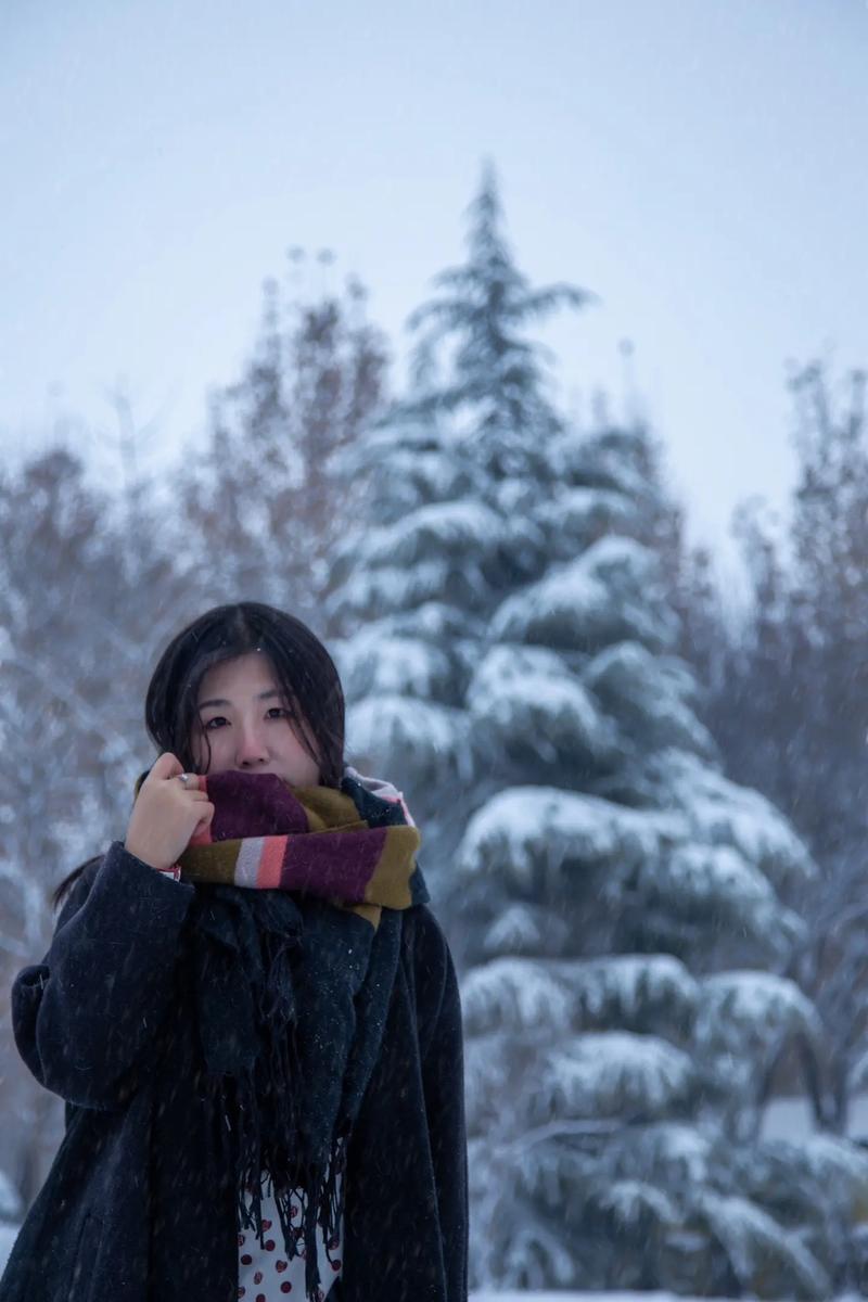 抖音雪中跳舞什么歌
