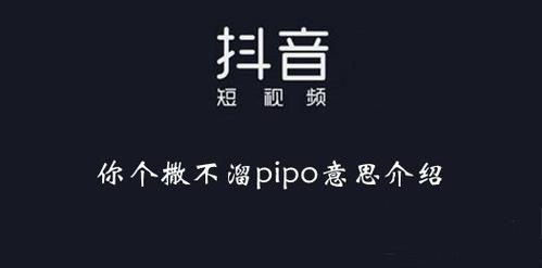 抖音pab是什么梗