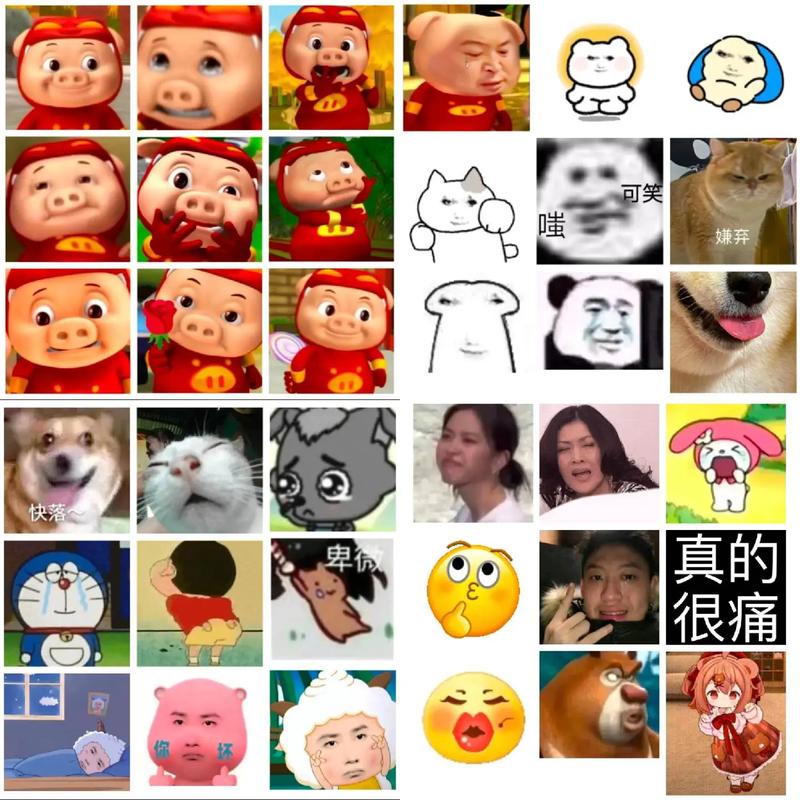 抖音那个为什么梗