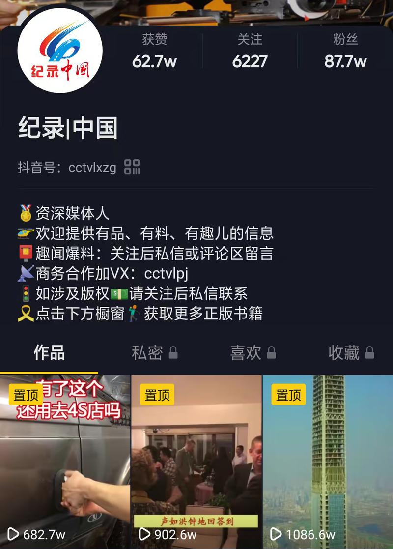 请问中国抖音是什么