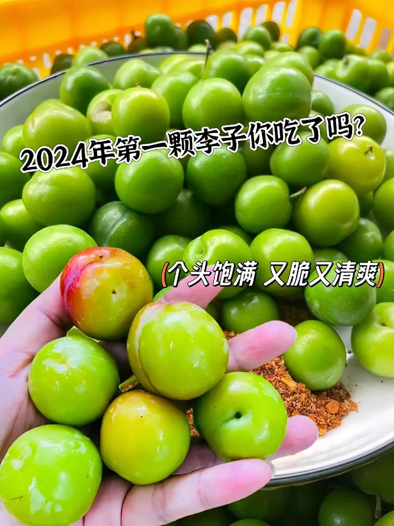 抖音李子什么意思