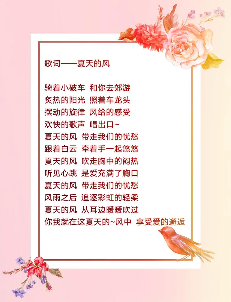 抖音歌词夏天什么风