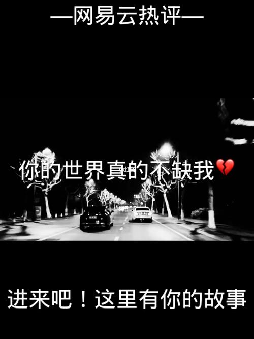 你的世界不缺我一个