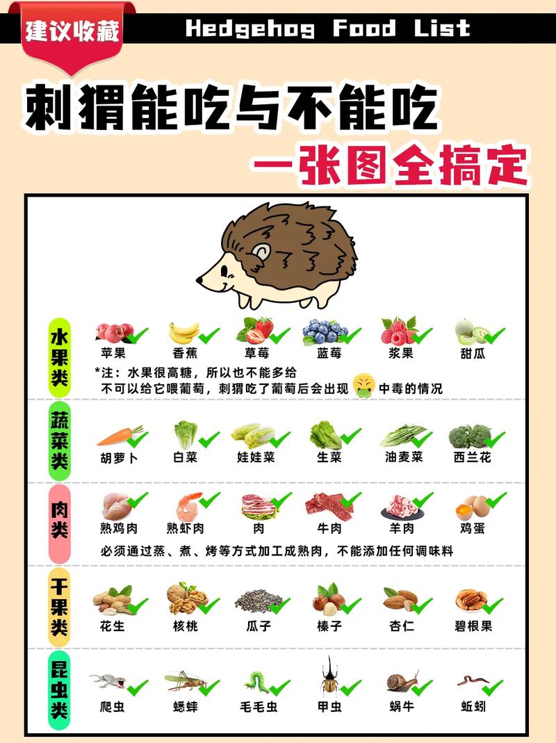 抖音刺猬什么意思