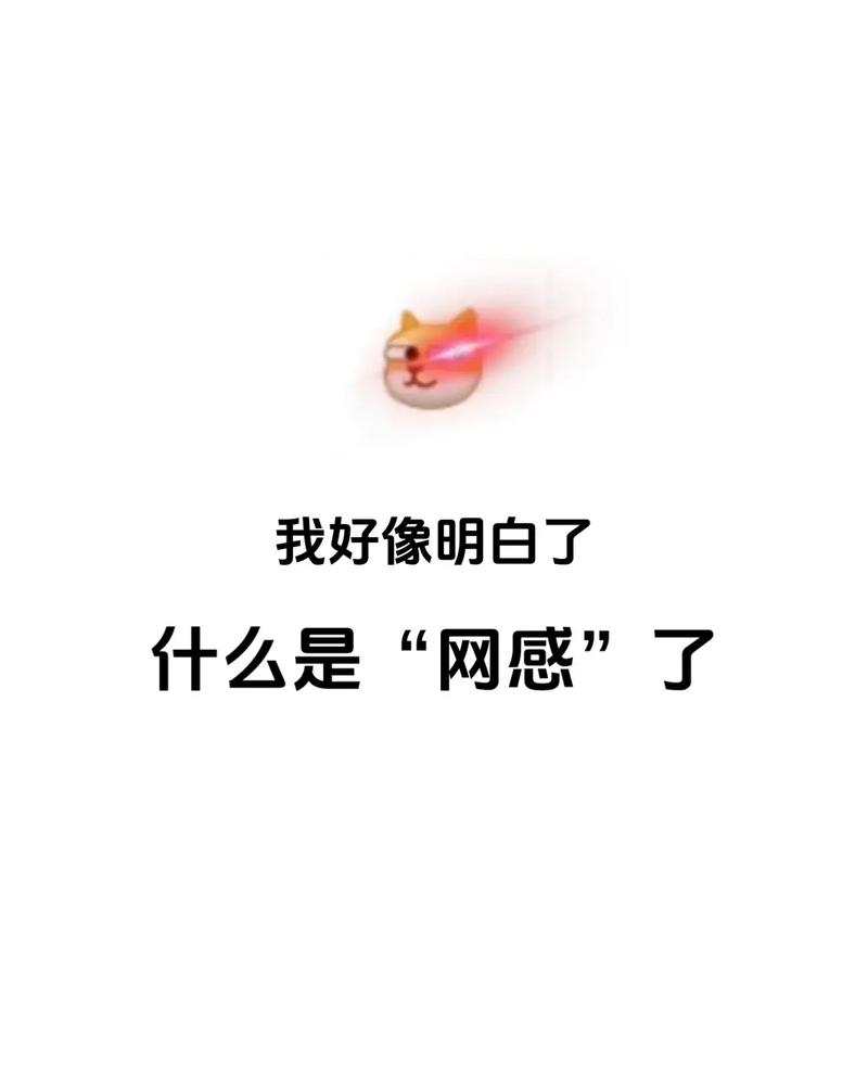 抖音网感是什么