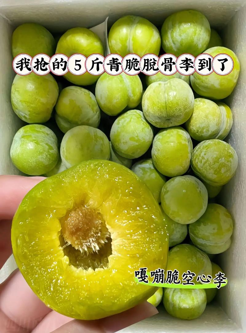 抖音李子什么意思