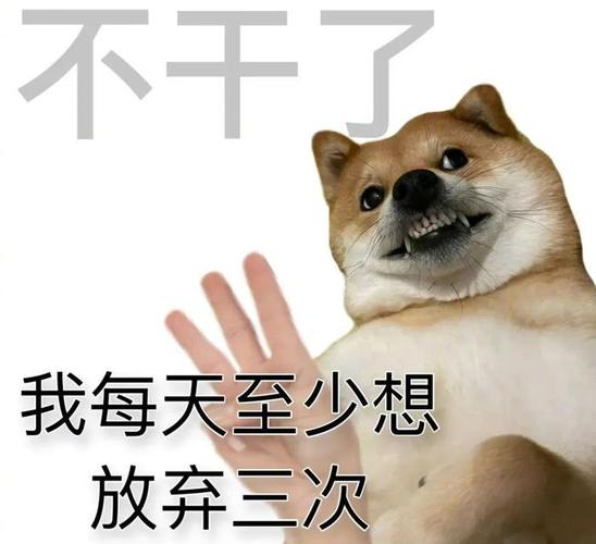 抖音表情包是什么