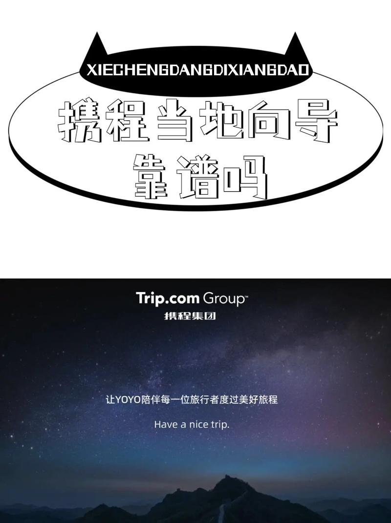 抖音向导是什么梗