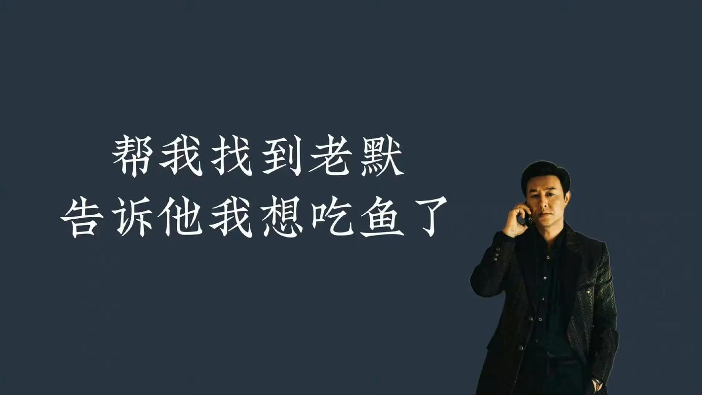 抖音老莫什么学历