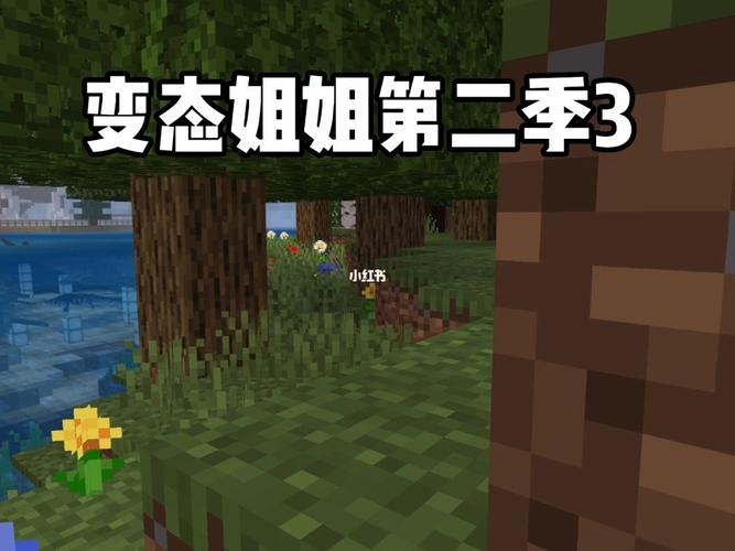 我的世界小橘子解说