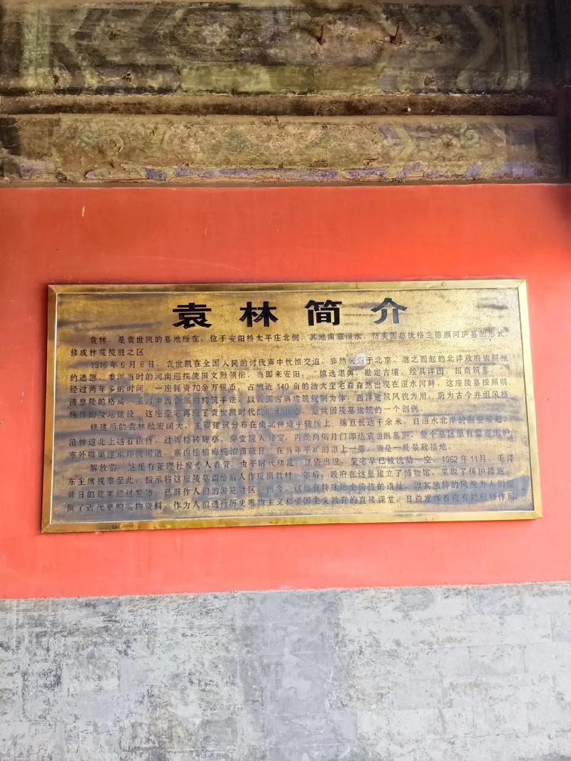 抖音袁林什么车