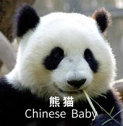 抖音散装英语什么梗